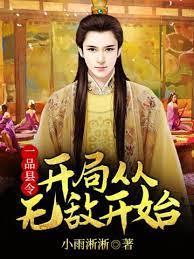 一品縣令:開局從無敵開始