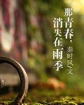 那青春,消失在雨季