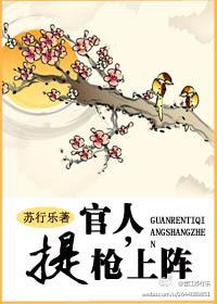 官人,提槍上陣