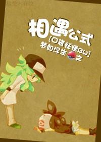 [口袋妖怪BW]相遇公式