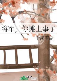 将軍,你攤上事了