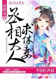 一品嬌寵,丞相大人求休妻