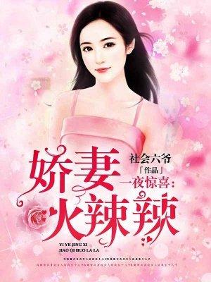 一夜驚喜:嬌妻火辣辣