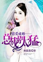 惹愛成婚:總裁別太猛
