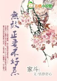 穿越:無敵正妻不好惹