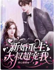 新婚重生,大叔超寵我
