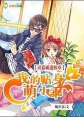 誤惹霸道校草,我的貼身萌小乖