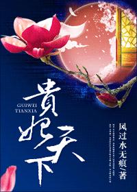 貴妃天下(重生)