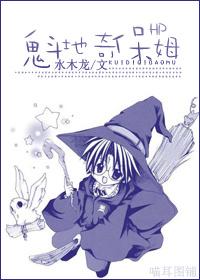 HP魁地奇保姆
