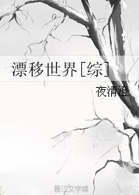 漂移世界