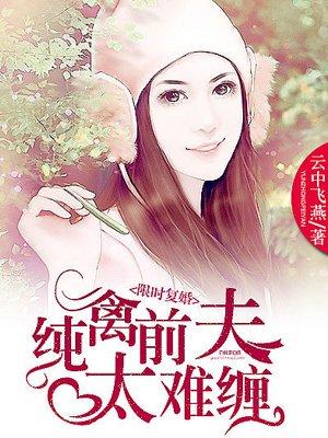 限時複婚:純禽前夫太難纏
