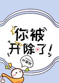你被開除了!