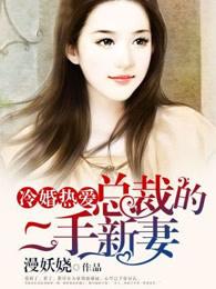 冷婚熱愛:總裁的二婚新妻