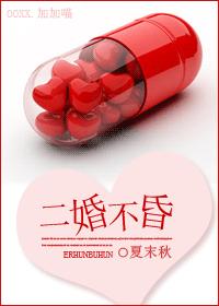二婚不昏(婚戀)