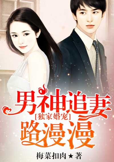 獨家婚寵:男神追妻路漫漫