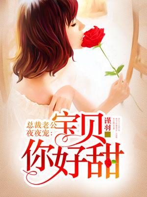 總裁老公夜夜寵:寶貝你好甜