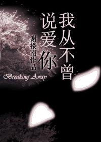 我從不曾說愛你
