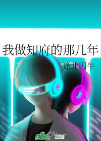 我做知府的那幾年