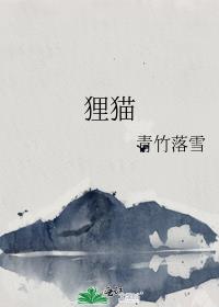 貍貓