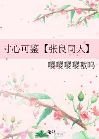 寸心可鑒【張良同人】