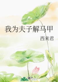 我為夫子解馬甲
