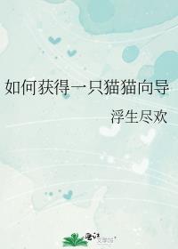 如何獲得一只貓貓向導