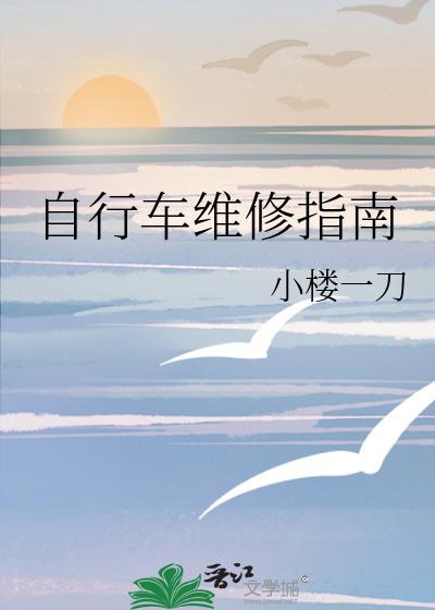 自行車維修指南