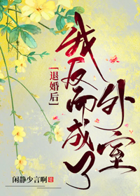 退婚後我反而成了外室