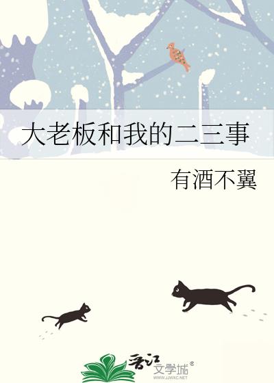 大老板和我的二三事