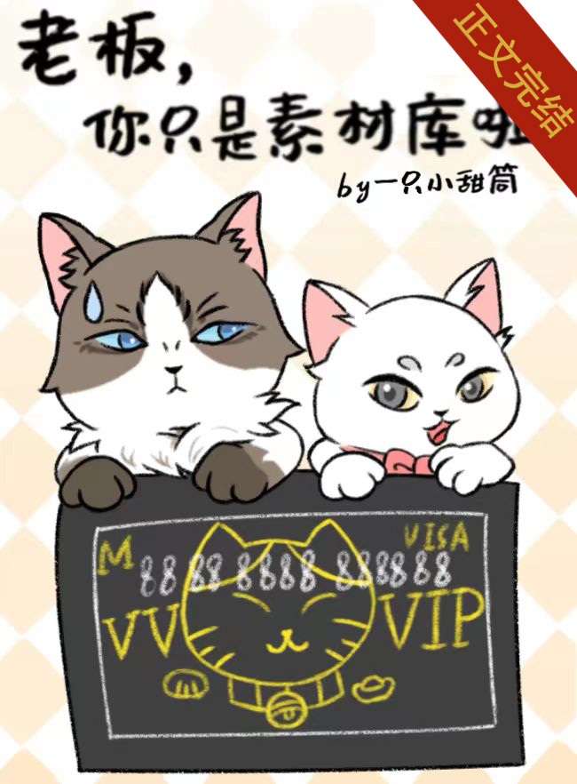 老板,你只是素材庫啦