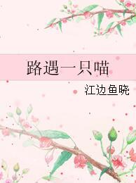 路遇一只喵