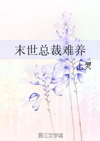 末世總裁難養