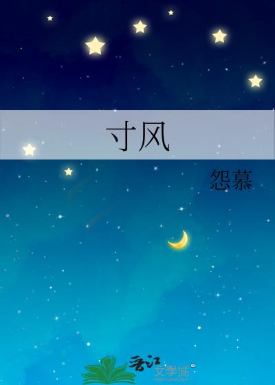 寸風