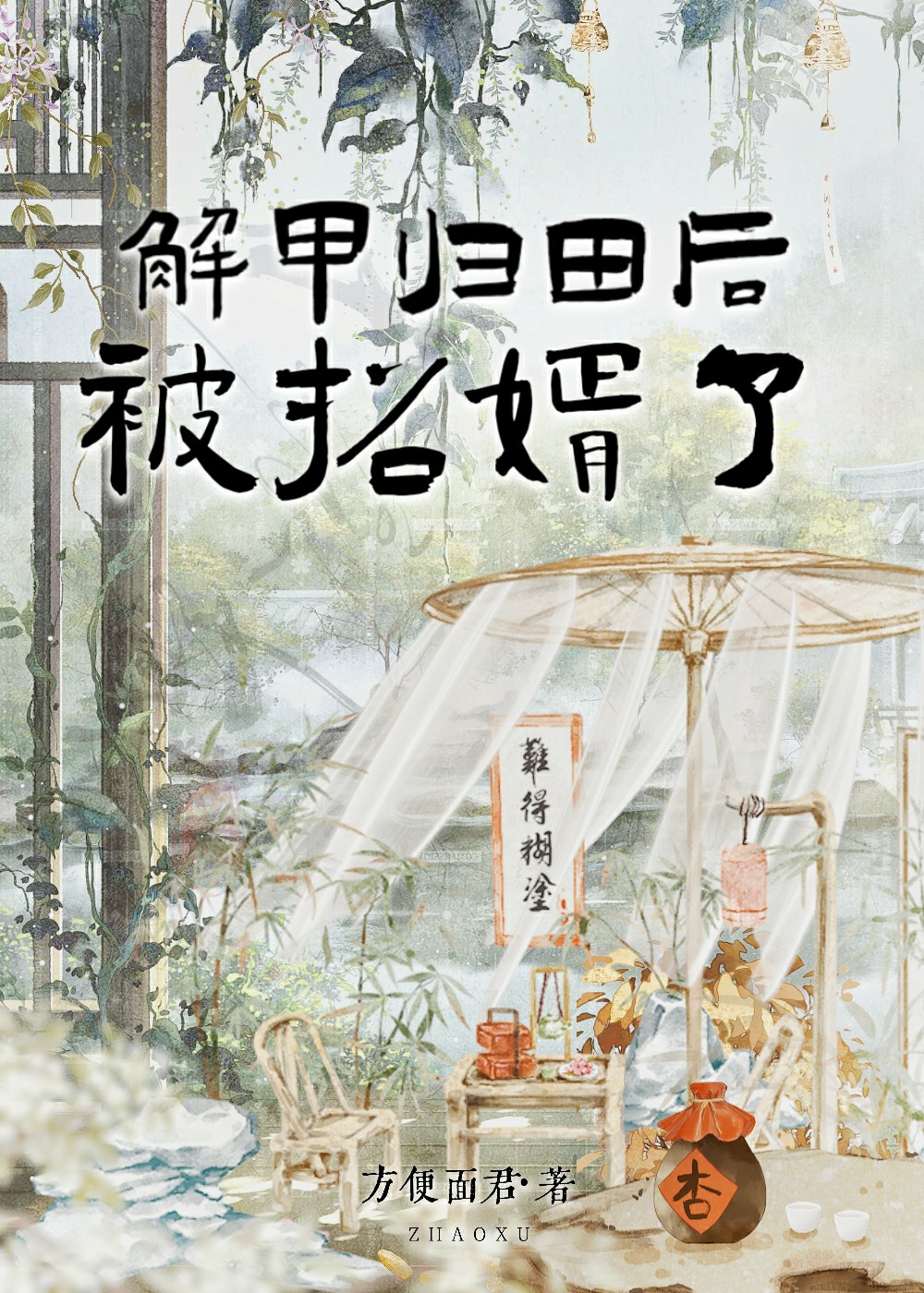 解甲歸田後,被招婿了