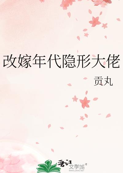 改嫁年代隐形大佬