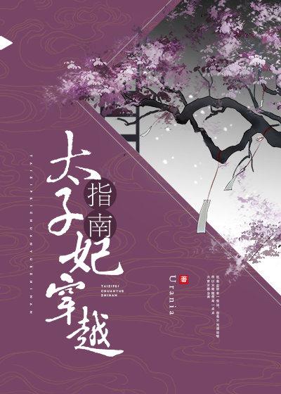 太子妃穿越指南(互穿)