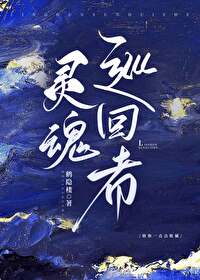 靈魂巡回者[快穿]