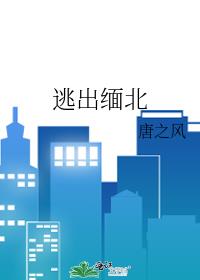 逃出緬北