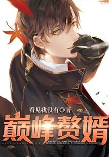 巅峰贅婿