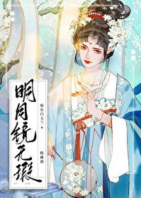 明月鏡無瑕