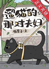 遛貓的那對夫婦