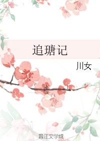 追瑭記