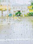 盛時長青(重生)