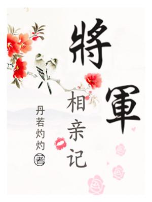 将軍相親記