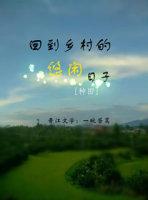 回到鄉村的悠閑日子[種田]