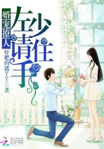 婚寵撩人：左少，請住手
