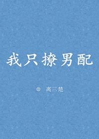 我只撩男配