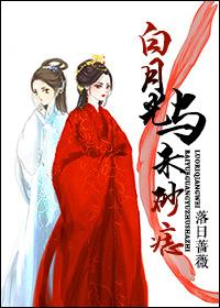 白月光與朱砂痣(穿越)