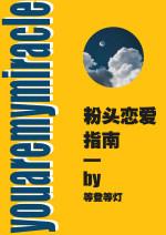 粉頭戀愛指南