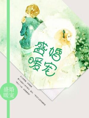 盛婚暖寵